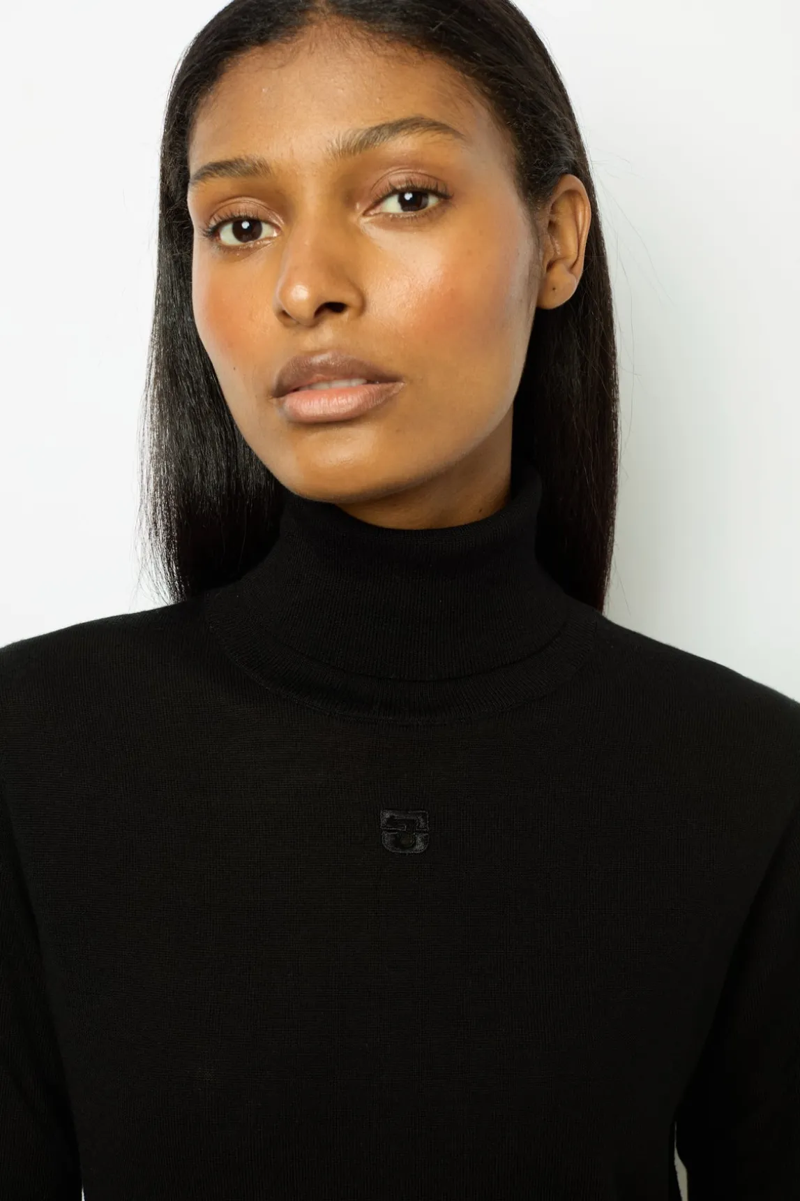Fine wool turtleneck sweater - JESSIE